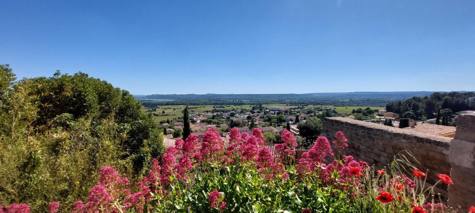 Gite De L'Olivier, Classe, Climatise, Jardin Avec Parking Gratuit Devant Le Logement Et A 5 Minutes Du Centre-Ville A Pied L'Isle-sur-la-Sorgue Exterior photo